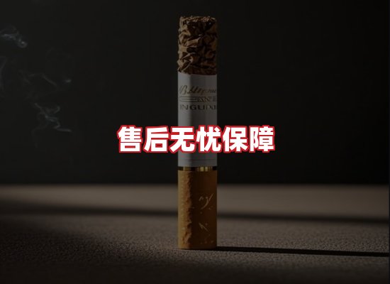 专业团队